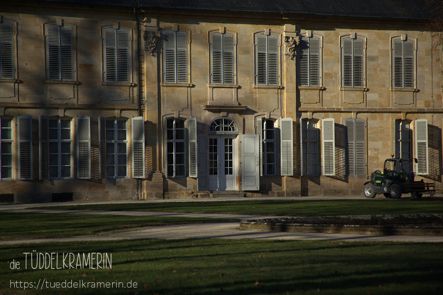 14. Januar - Spaziergang im Hofgarten