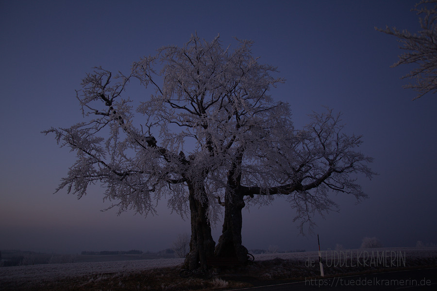 4. Februar - eiskalter Abend