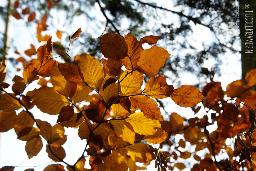 En-Light-ened En-Light-ened