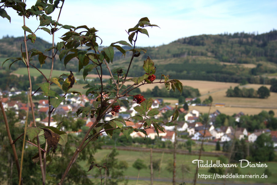 im Hintergrund die Zivilisation