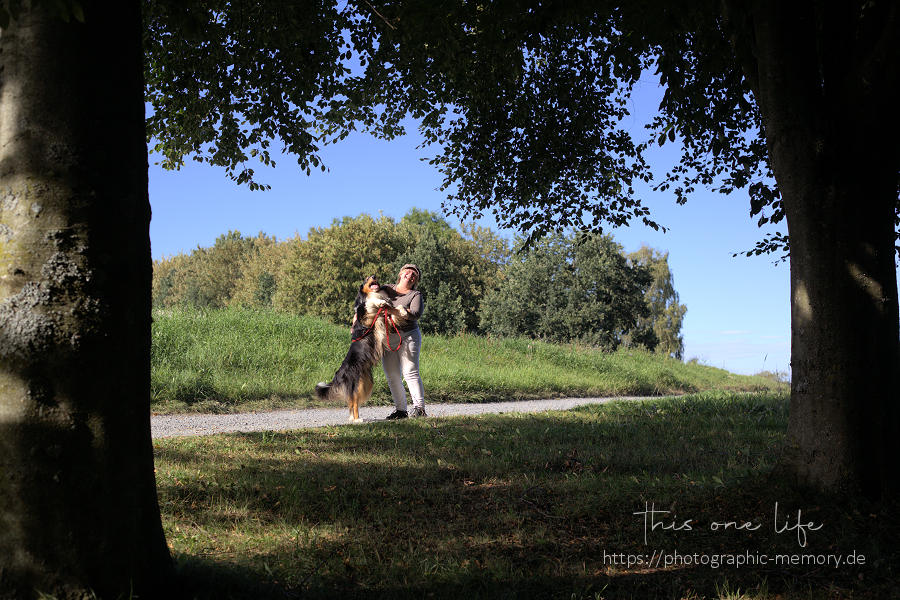 Der Schlappohrcollie und die Schlappohrcolliemami lachen im Duett