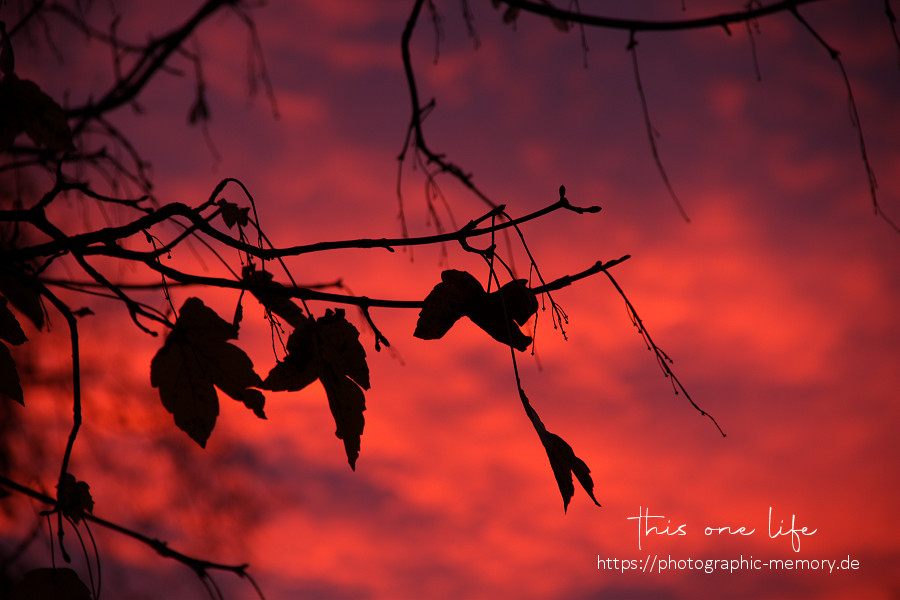 Morgenrot im Herbst