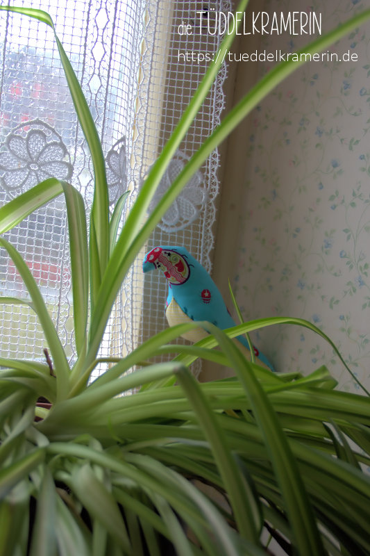 ein gelbbäuchiger Zimmeradler in der Grünlilie